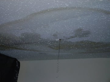 blog-image-4-leaky-ceilings