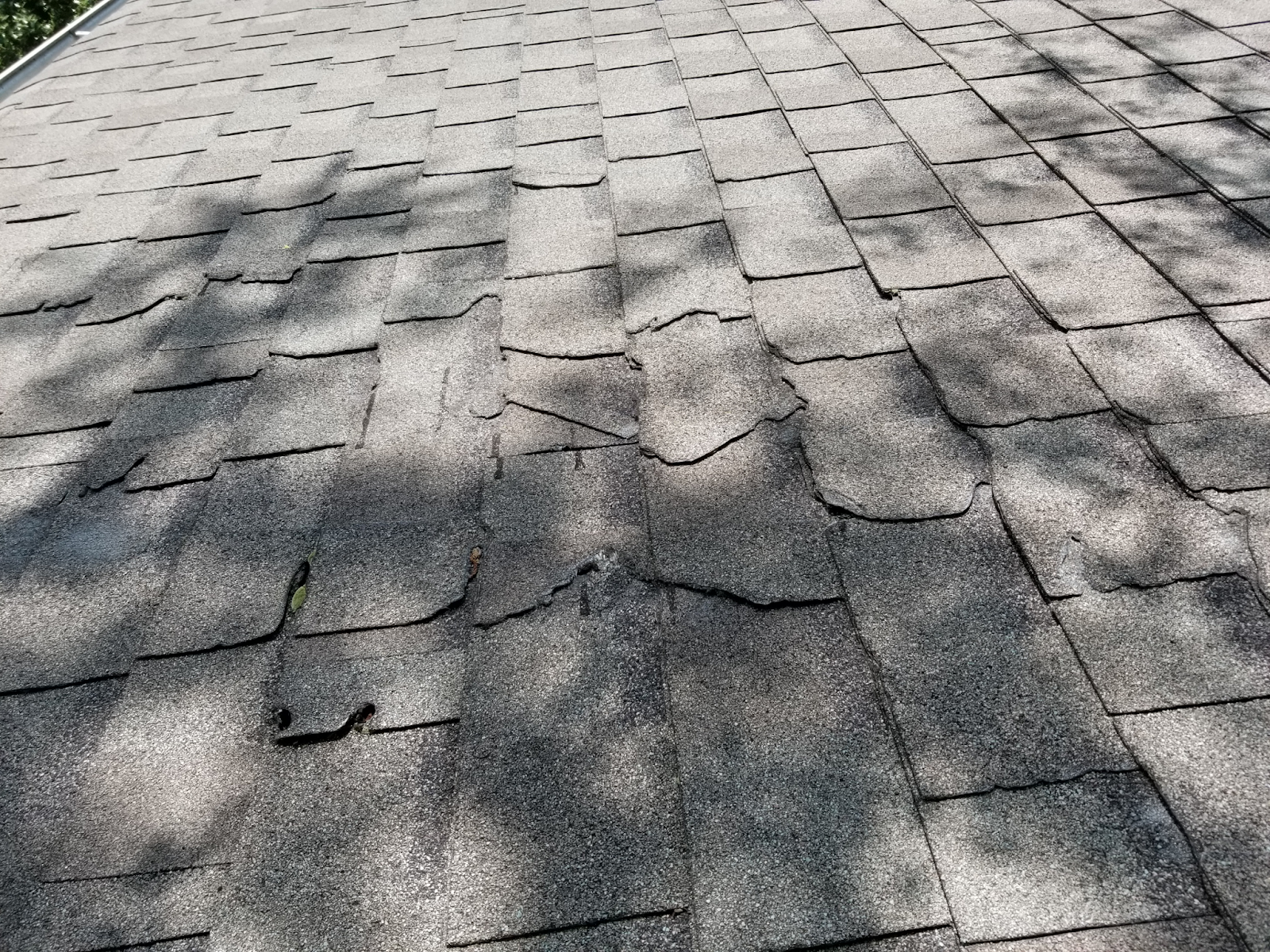 Damaged shingles